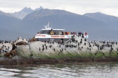 22-Seals, cormorants and tourists